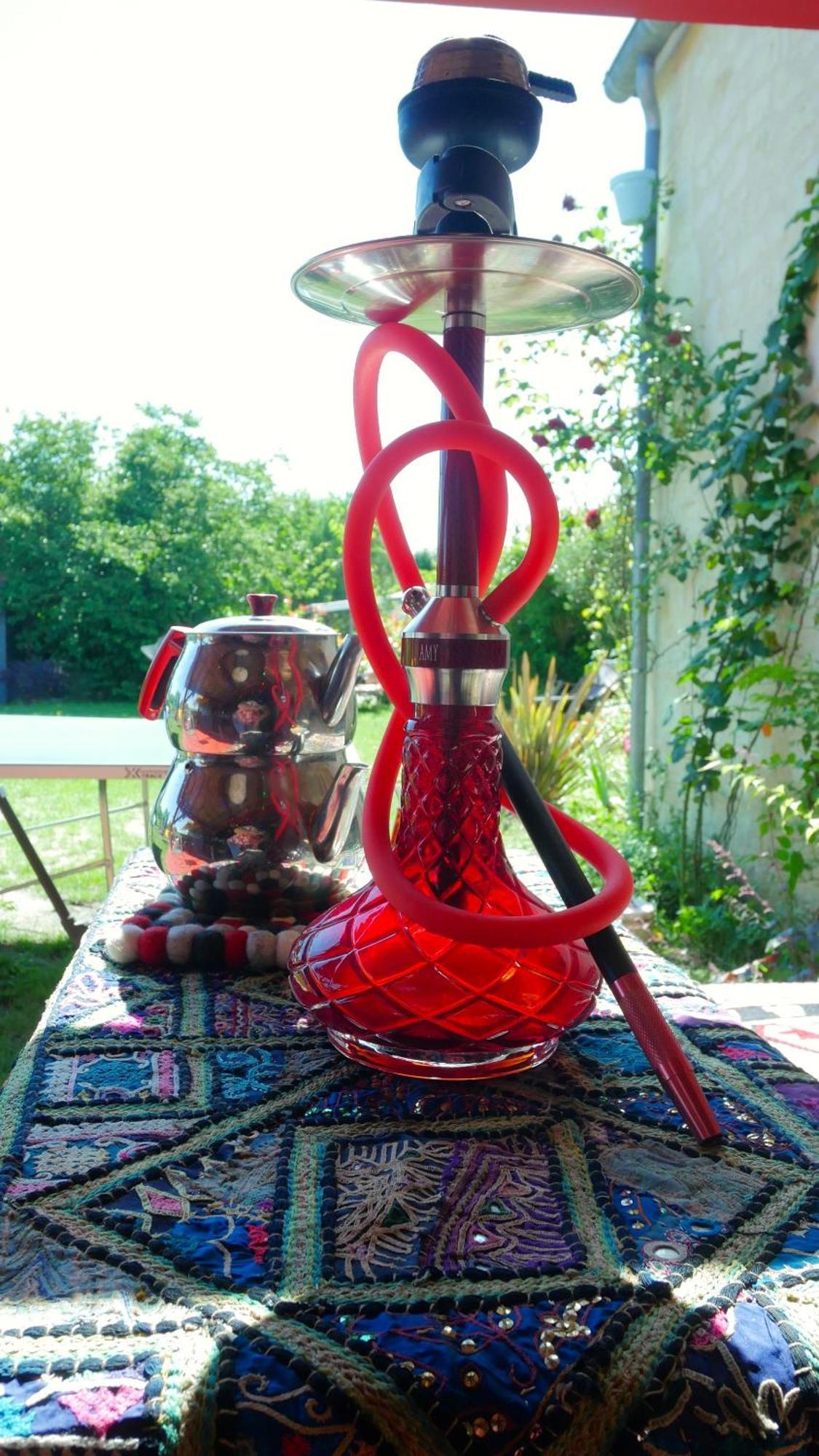 Les Jardins D'Ispahan Prignac-et-Marcamps 外观 照片