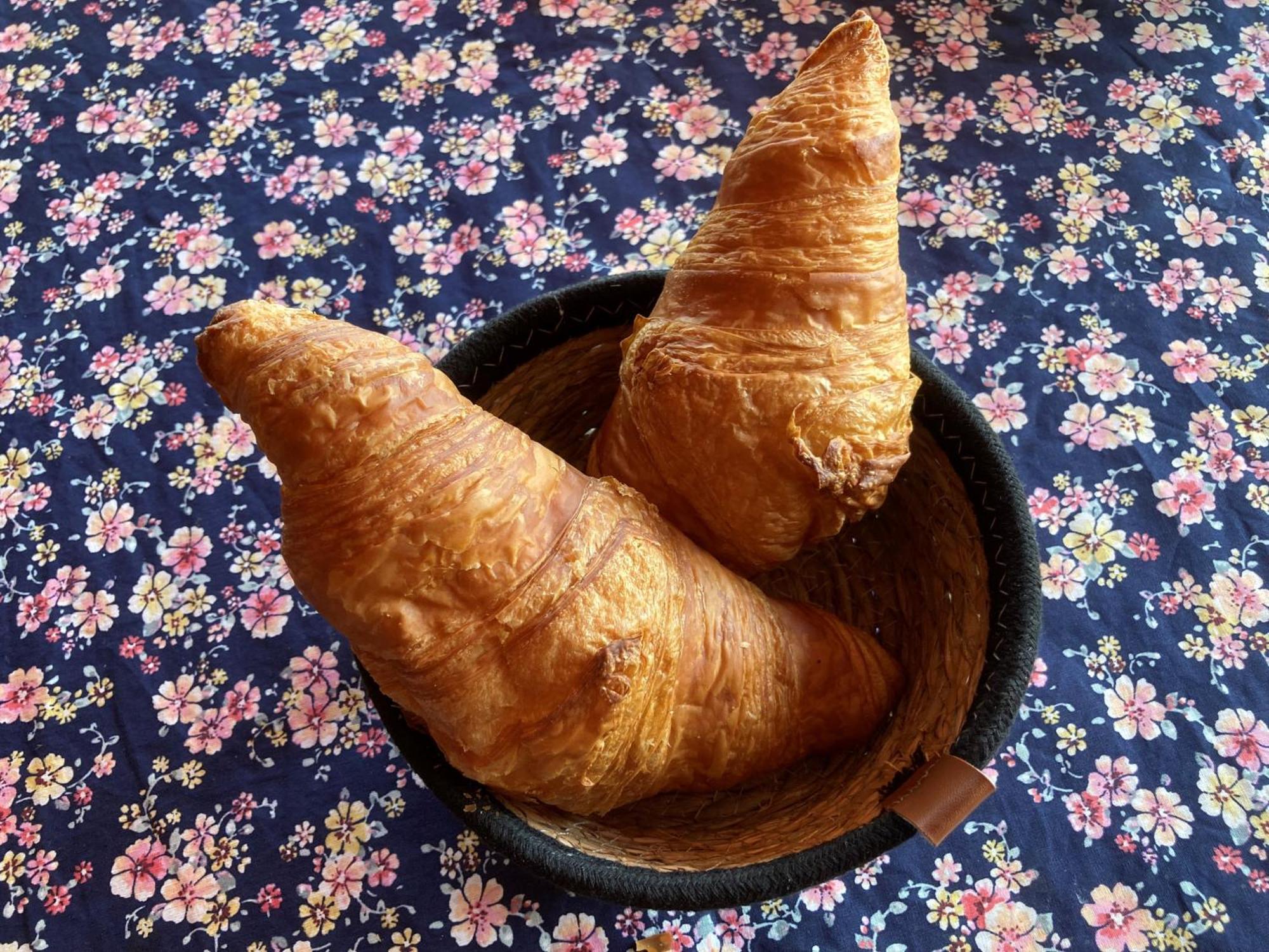 Les Jardins D'Ispahan Prignac-et-Marcamps 外观 照片